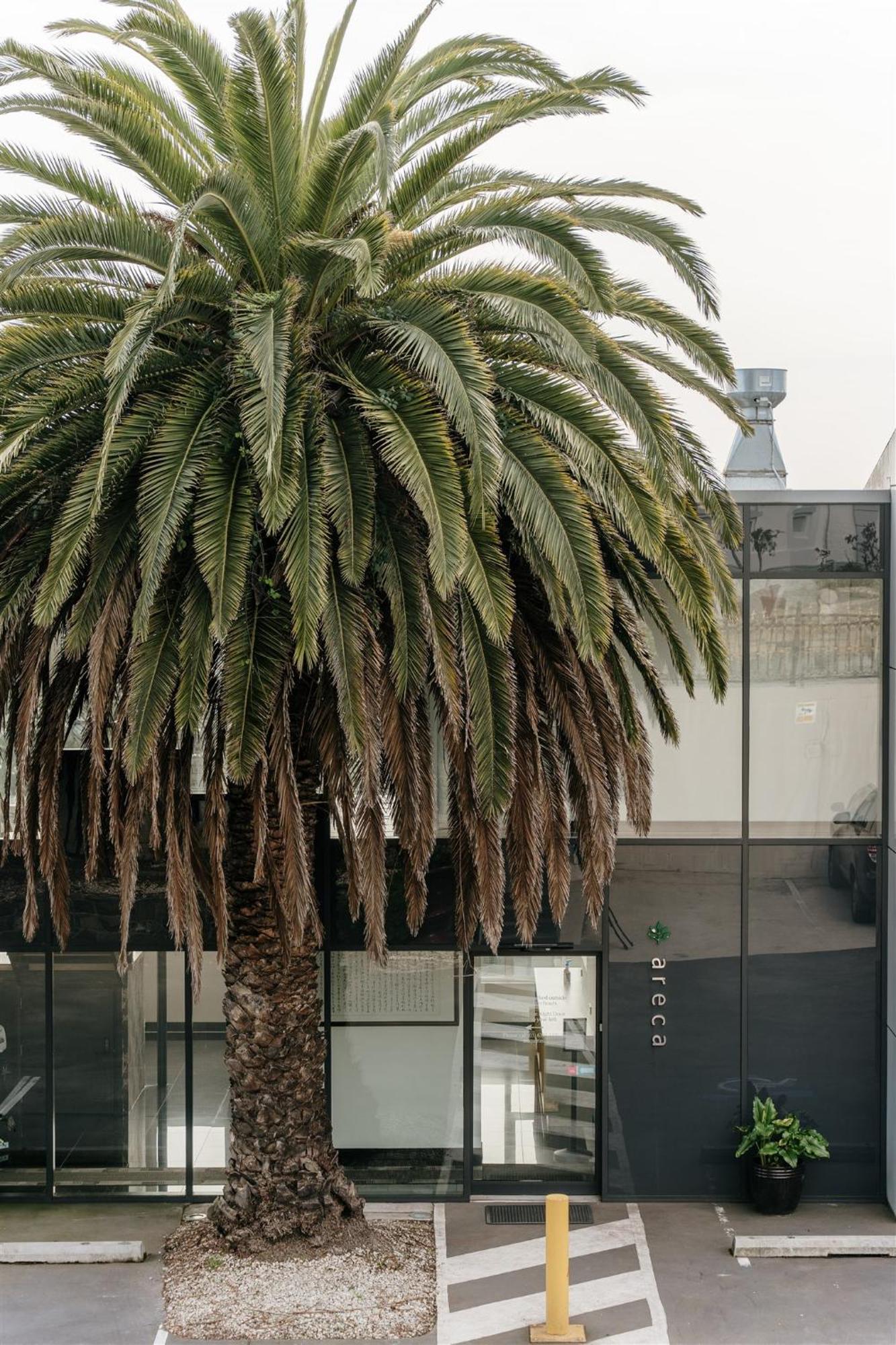 Areca Launceston Hotel Buitenkant foto